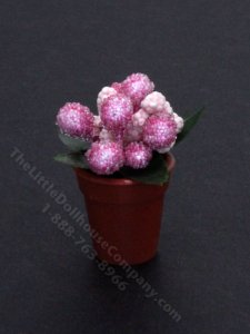(image for) Miniature Pink Plant in Terra Cotta Pot
