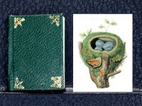 (image for) Miniature Book: 'Harmonia Ruralis' British Songbirds