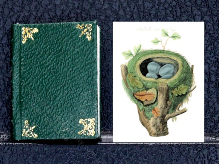 (image for) Miniature Book: 'Harmonia Ruralis' British Songbirds