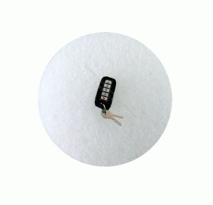 (image for) Miniature Car Key-fob with Keys