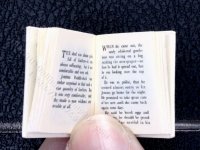 (image for) Miniature Book: Beatrix Potter's 'Jemima Puddle-Duck'