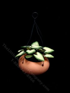 (image for) Miniature Hanging Greenery For Dollhouses