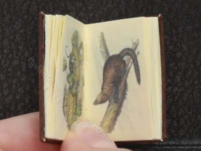(image for) Miniature Book: 'Quadrupeds of North America'