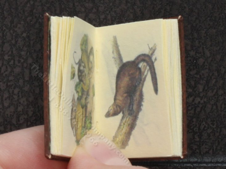 (image for) Miniature Book: 'Quadrupeds of North America'