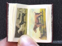 (image for) Miniature Book: 'Illustrated Book of the Dog'