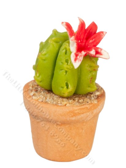 (image for) Miniature Pink Cactus for Dollhouses