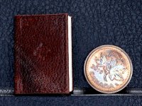 (image for) Miniature Book: 'Mercator Atlas'