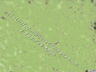 (image for) Miniature Green Loose Flocking for Dollhouses