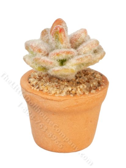(image for) Miniature Succulent Plant for Dollhouses