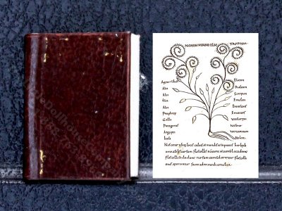 (image for) Miniature Book: 'Herbarius'