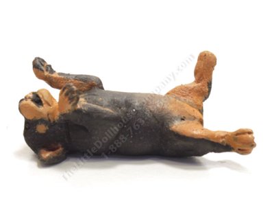 (image for) Miniature Rottweiler Puppy Lying on Back by Karl Blindheim