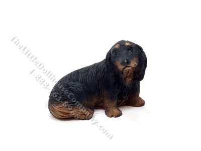 (image for) Miniature Black Longhair Dachshund Dog for Dollhouses