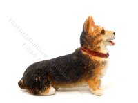 (image for) Miniature Corgi Dog for Dollhouses