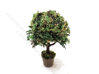(image for) Miniature 2.5 inch Potted Topiary with White Blossoms