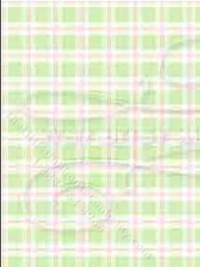 (image for) Green Bird Toile Plaid Pattern Wallpaper for Dollhouses