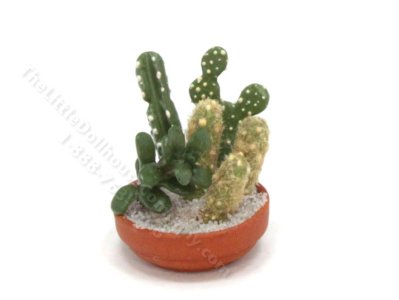 (image for) Dollhouse Miniature Potted Cacti