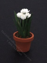 (image for) Miniature Potted Tulips for Dollhouses