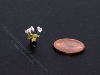 (image for) Handmade Miniature 1/4 Scale White Flowers for Dollhouses