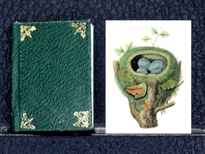 (image for) Miniature Book: 'Harmonia Ruralis' British Songbirds