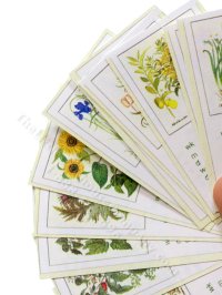 (image for) Dollhouse Miniature 2004 Hortus Eystettensis Botanical Wall Calendar