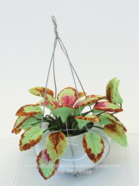 (image for) Miniature Hanging Greenery For Dollhouses
