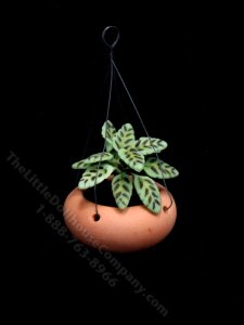 (image for) Miniature Hanging Greenery For Dollhouses