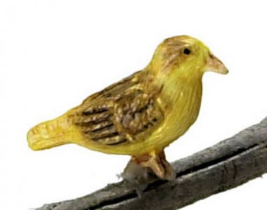 (image for) Miniature Norwich Fancy Canary for Dollhouses