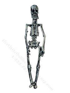 (image for) Miniature Skeleton for Dollhouses