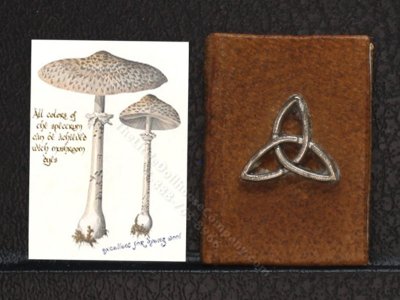 (image for) Miniature Book: 'Charms'