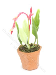 (image for) Mniature Potted Flowering Vine