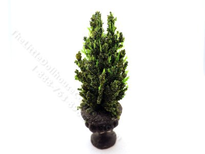 (image for) Miniature 5 inch Fir Tree in Black Round Base for Dollhouses