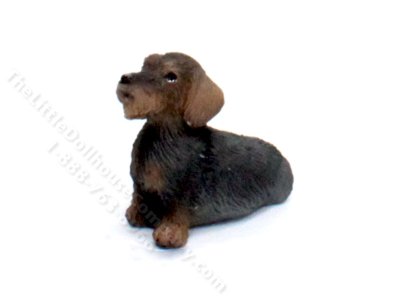 (image for) Miniature Wire Haired Dachshund for Dollhouses