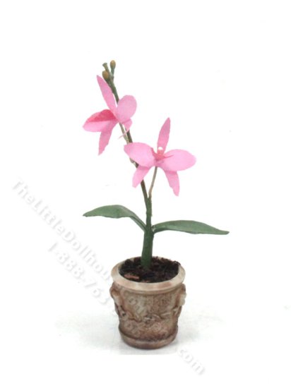 (image for) Miniature Potted Pink Orchids for Dollhouses