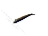 (image for) Miniature Whole Fish for Dollhouses
