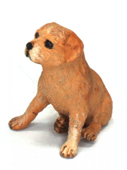 (image for) Miniature Norfolk Terrier by Karl Blindheim
