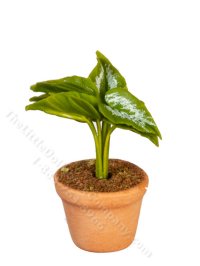 (image for) Miniature Potted Plant for Dollhouses