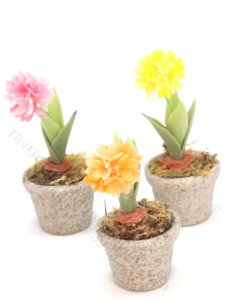 (image for) Miniature Potted Chrysanthemum (1pc)
