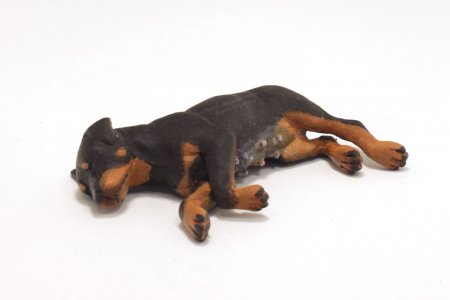 (image for) Miniature Adult Female Rottweiler by Karl Blindheim