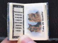 (image for) Miniature Book: 'The Power of The Dog'
