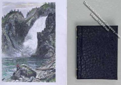 (image for) Miniature Book: 'Picturesque America', W.C. Bryant, 1872