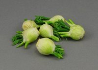 (image for) Miniature Fennel