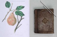 (image for) Miniature Book: 'Fruits of America'