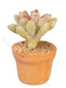 (image for) Miniature Succulent Plant for Dollhouses
