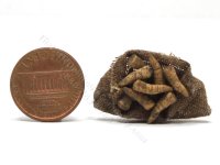 (image for) Miniature Flat Sack of Parsnips by Charlotte Willmott