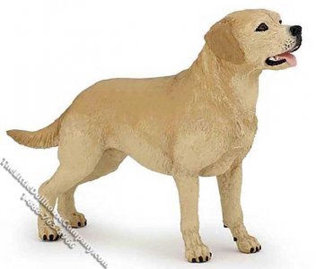 (image for) Miniature Labrador for Dollhouses