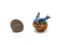 (image for) Miniature Birds in Nest with Eggs