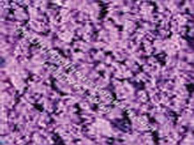 (image for) Miniature Loose Violet Blossoms for Dollhouse