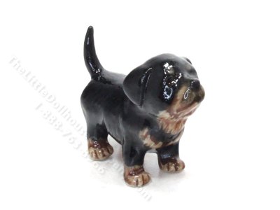 (image for) Miniature Standing Rottweiler Puppy Dog Figurine for Dollhouses