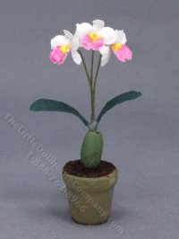(image for) Miniature Pot of White and Pink Orchids for Dollhouses