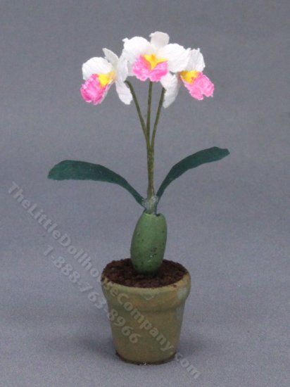 (image for) Miniature Pot of White and Pink Orchids for Dollhouses